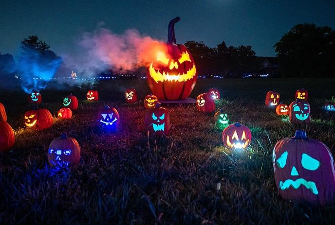 pumpkins-after-dark.jpg