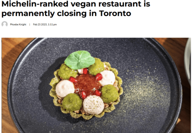 67c0a2301d06e-640x445.png