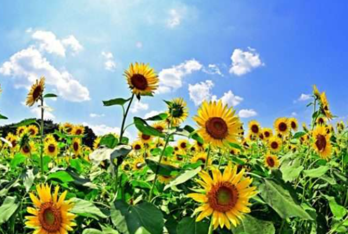 3-untitled-design-9.png